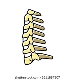 neck bone color icon vector. neck bone sign. isolated symbol illustration