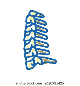 neck bone doodle icon sketch vector. neck bone sign. isolated symbol illustration