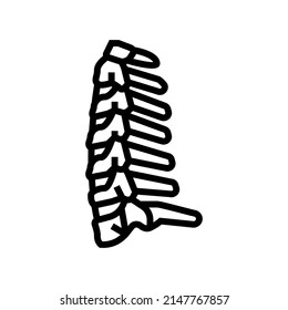 neck bone line icon vector. neck bone sign. isolated contour symbol black illustration