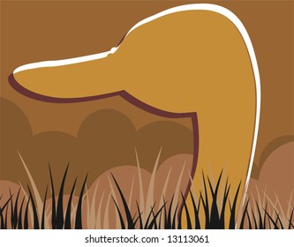 neck of duck in brown background	
