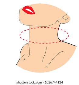 
The neck of a girl.