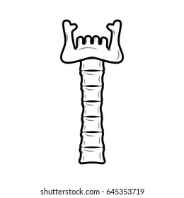 Neck and lower jaw of bone. Anatomy of mystical totem is object of worship.
