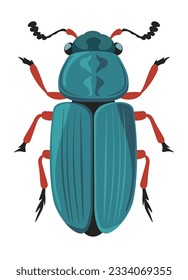 Necrobia rufipes, isolated red legged ham beetle or bug living in natural habitat. Insects species and zoology, nature and biodiversity, wilderness and wildlife creatures. Vector in flat style