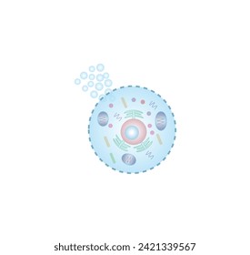 Necrosis, Pathologic Cell Death, Death of the body tissues, Cell injury which results in the premature death of cells in living tissue by autolysis. Vector illustration.