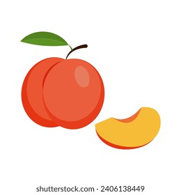 Nectarine cartoon vector alphabet N fruit