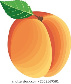 Fruta de la nectarina con la ilustración de la hoja aislada en el fondo blanco	