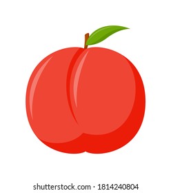 Nectarine with green leaves isolated on white background, flat design, fruit vector illustration