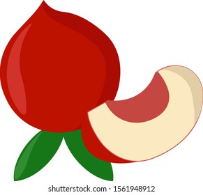 Nectarine, illustration, vector on white background.