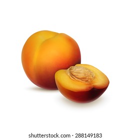 Nectarine isolated on white. Summer fruit. High quality vector. EPS10 vector