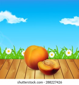 Nectarine on wood. Background with nectarine. Background with grass and chamomile. Time for a picnic. High quality vector. EPS10 vector
