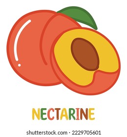 Nectarine, peach. Hand drawn flat shiny fruits cartoon vector illustration with cute glossy letters isolated on white background.