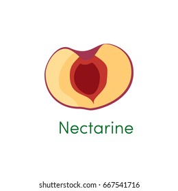 Nectarine slice healthy fruit. Half peach objects. Vector illustration isolated on white background eps10
