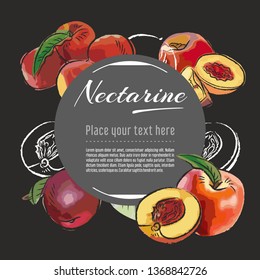 nectarine vector hand drawn healthy food illustration. Fruit design with sketch elements for banner, greeting card	