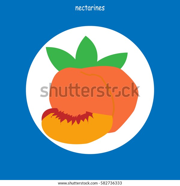 Nectarines Icon Fruit Symbol Logo Stock Vector (Royalty Free) 582736333