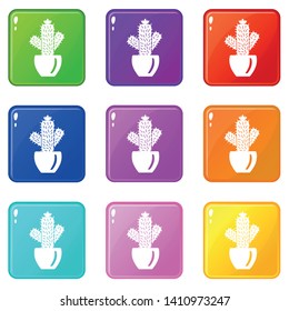 Needle cactus icons set 9 color collection isolated on white for any design