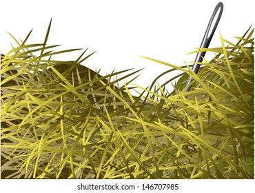 Needle In A Haystack