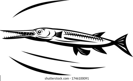 Needlefish or Long Tom Swimming Side View Retro Black and White
