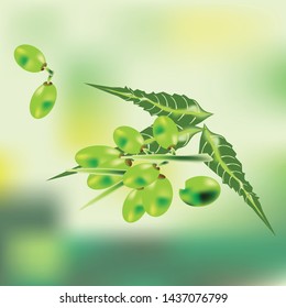 neem backgroud vector is green