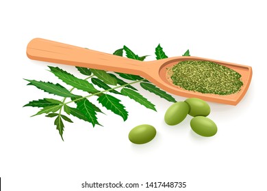 Neem branch, flowers, leaves, fruits and pods, powder in wooden spoon. Ayurveda Herb. Used for alternative medicine, ayurveda, cosmetics, health care, aromatherapy text copy space