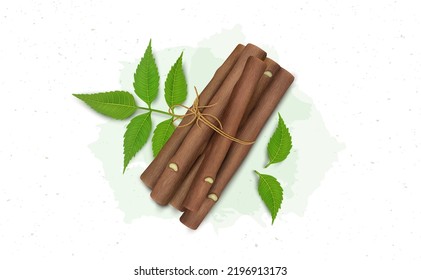 Neem Chew Sticks with neem leaves vector  svg
