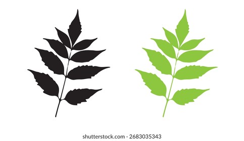 Neem leaf sprig vetor isolado. folhas de árvores