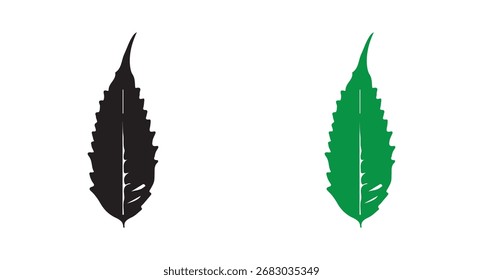 Neem leaf sprig isolated vector. tree leaves