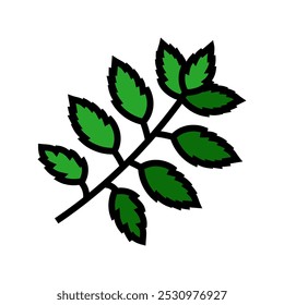 neem leaves ayurvedic herb color icon vector. neem leaves ayurvedic herb sign. isolated symbol illustration