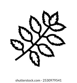 2530979541