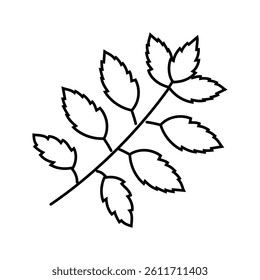 neem leaves ayurvedic herb line icon vector. neem leaves ayurvedic herb sign. isolated contour symbol black illustration