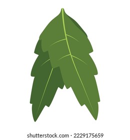 Neem Leaves Vector Flat Design.