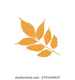 Neem leaves Vector, leaves Vector, Free Vector, Free Neem leaves, Free leaves