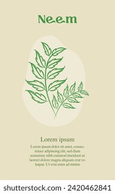 ilustración de línea vectorial de neem hojas