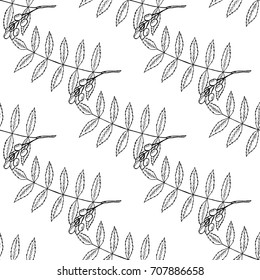 Neem, nimtree, medicinal plant. Ayurvedic Herb. Hand draw ink design for essential oil, cosmetics, treatment, aromatherapy, homeopathy. For print textile wallpaper surface wrapping decoupage