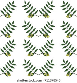 Neem, nimtree, medicinal plant. Ayurvedic Herb. Hand draw ink design for essential oil, cosmetics, treatment, aromatherapy, homeopathy. For print, textile, wallpaper, surface, wrapping, decoupage.