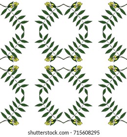 Neem, nimtree, medicinal plant. Ayurvedic Herb. Hand draw ink design for essential oil, cosmetics, treatment, aromatherapy, homeopathy. For print textile wallpaper surface wrapping decoupage