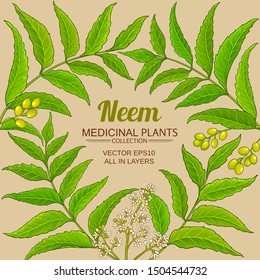 Neem Vector Frame On Color Background