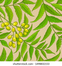 neem vector pattern on color background