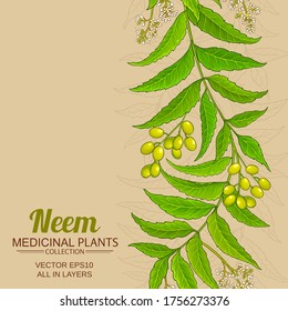 neem vector pattern on color background