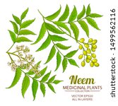 neem vector set on white background
