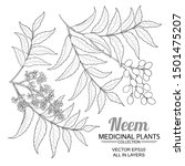 neem vector set on white background