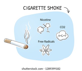 Negative ingredients of cigarette smoke that cause cell aging. Medical info graphics. Hand drawn cartoon sketch vector illustration, marker style coloring.  