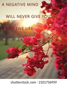 a negative mind will never give you a positive life
