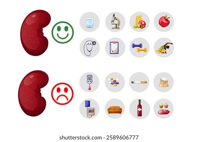 Negative and positive factors on the kidneys. National Kindey Month. Handmade drawing, isolate, clipart