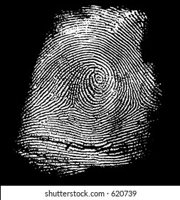 negative vector fingerprint (the fingerprint is transparent, the background color can be changed)