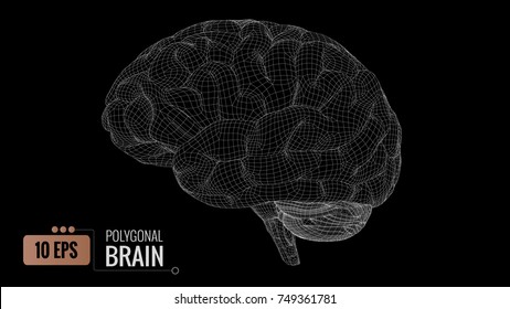 Negative white polygonal wireframe brain on black background