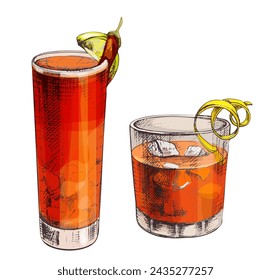 Negroni and Vampiro pepper cocktail with ice cube, twist slice lemon, cherry, orange. Vector vintage engraved color illustration. Isolated on white background. Hand drawn design