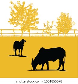 Nelore Cattle Silhouette On Farm Illustration 