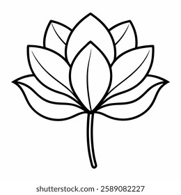 nelumbo nucifera vector line art on white background