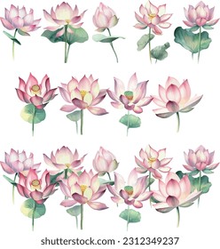 Nelumbo nucifera.Watercolor lotus flowers set isolated on white background. Vector illustration.