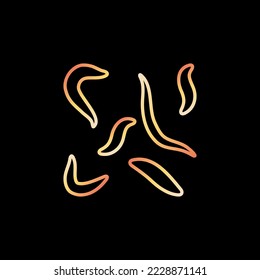 Nematodes or Ascarids vector concept line yellow icon or design element on dark background 